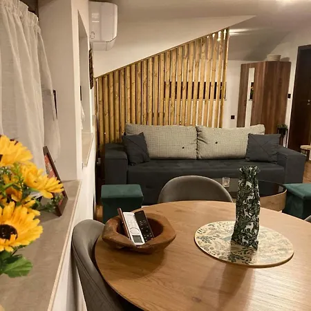 Apartament студио за гости петрови