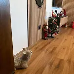 Apartment студио за гости петрови *