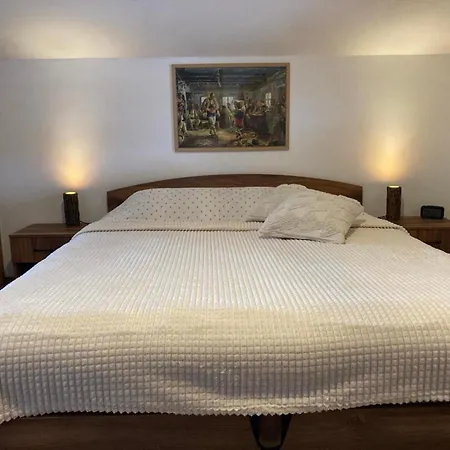 студио за гости петрови アパート バンスコ