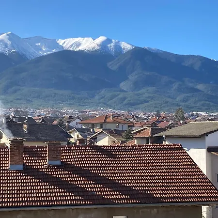 Apartment студио за гости петрови