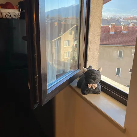 アパート студио за гости петрови