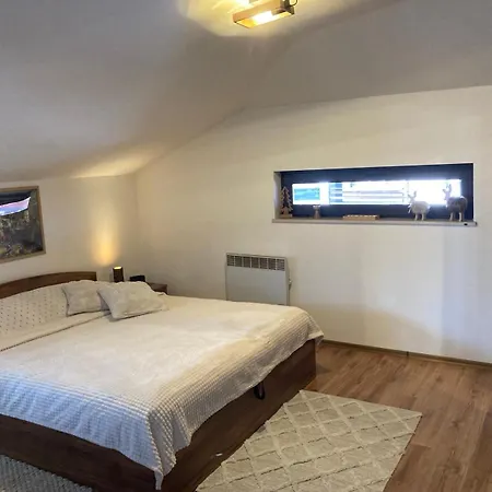 студио за гости петрови バンスコ