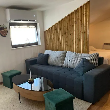 студио за гости петрови アパート