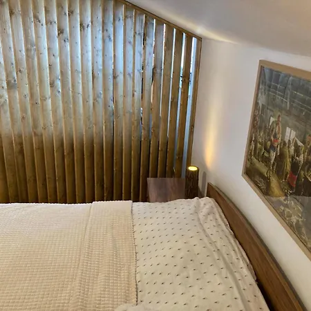 アパート студио за гости петрови