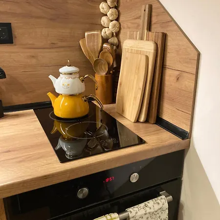 студио за гости петрови * バンスコ