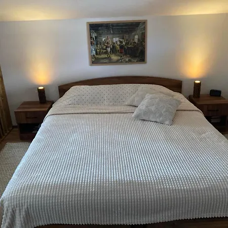 Apartment студио за гости петрови