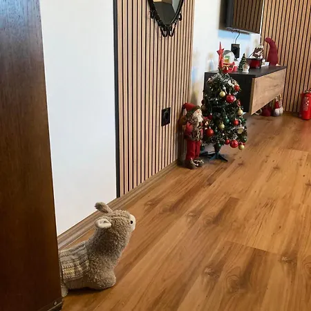 アパート студио за гости петрови *