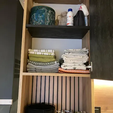 студио за гости петрови バンスコ