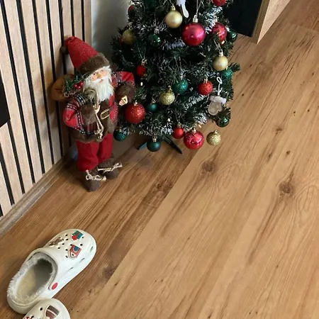 студио за гости петрови アパート バンスコ