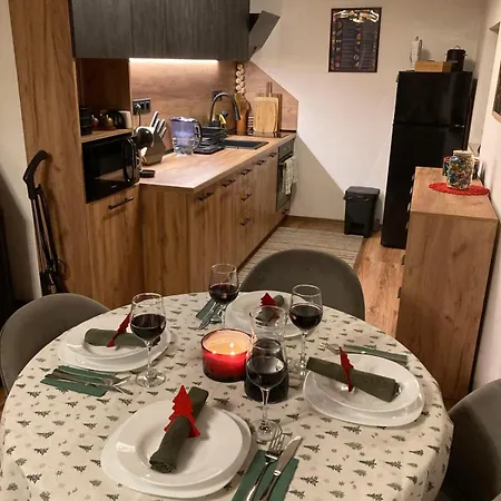 студио за гости петрови アパート バンスコ