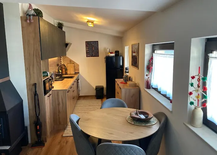 Apartment студио за гости петрови