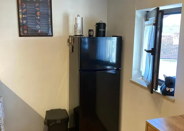 Apartment студио за гости петрови *