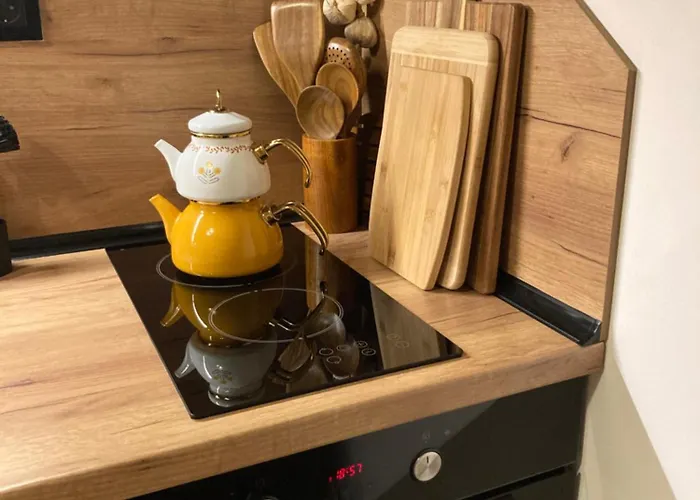 студио за гости петрови * Bansko