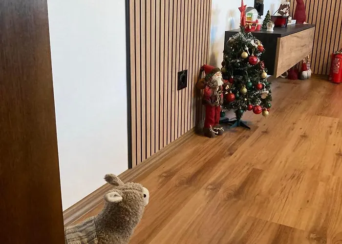 Apartment студио за гости петрови *