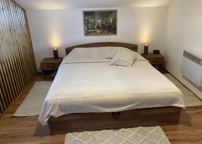 Apartment студио за гости петрови *